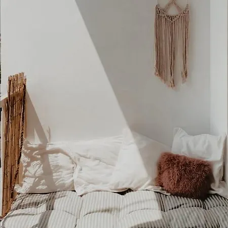 S T R E H E Z A ティラナ