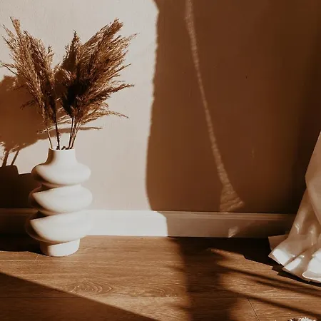 S T R E H E Z A Tirana